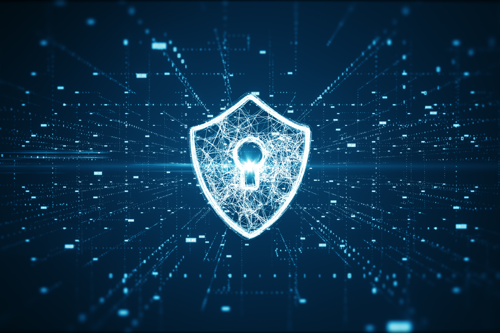 Domain Privacy